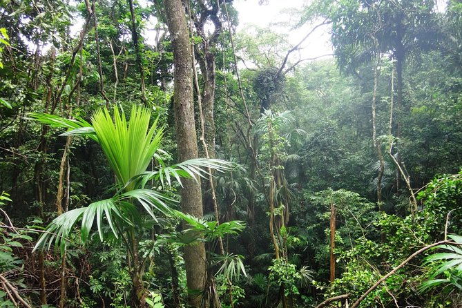 soberania-national-park-day-trip-from-panama-city