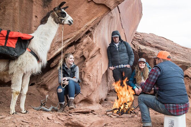 spectacular-8-hour-guided-llama-hike-with-lunch-and-dinner