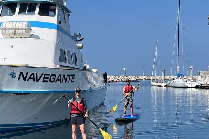 stand-up-paddle-board-redondo-beach