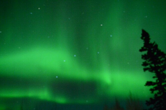 starlight-snowshoe-adventure-in-alaska