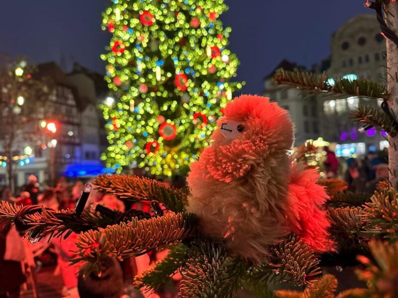 strasbourg-christmas-walking-tour-with-mulled-wine
