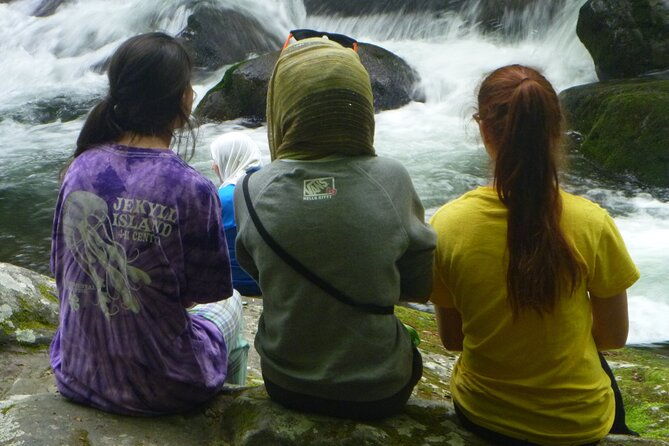 stroll-back-in-time-smokies-history-streams-and-forest-hike