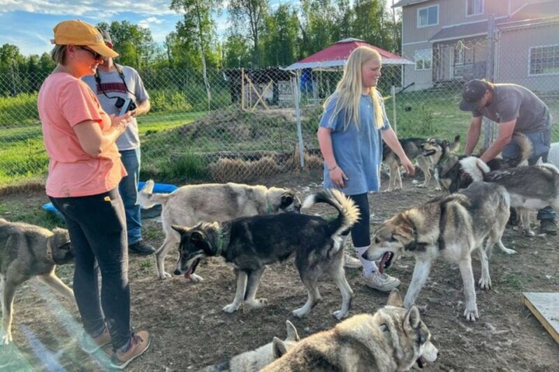 summer-sled-dog-kennel-tour