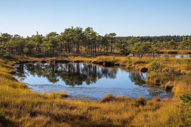 sunrise-tour-to-great-kemeri-bog