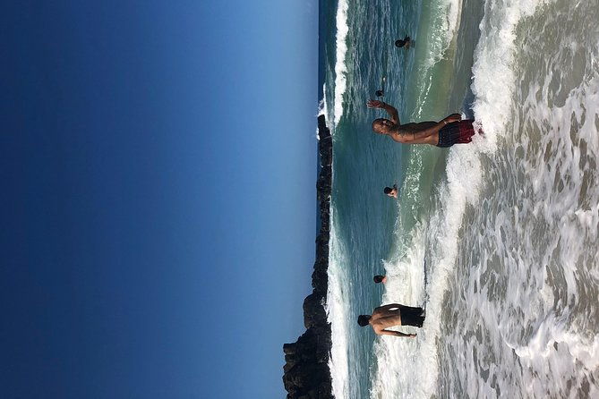surf-and-seaturtles-oahu-tour