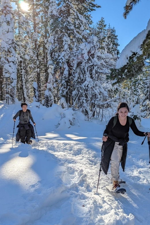tahoe-city-beginner-and-family-friendly-snowshoe-tour