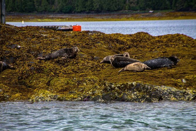 tales-tides-alaskan-lore-wildlife-cruise