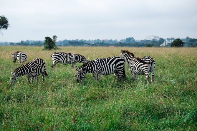 tanzania-safari-1-day-arusha-national-park-visit