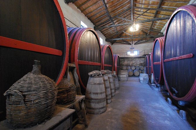 taormina-and-etna-with-driver-wine-experience-to-ask-for