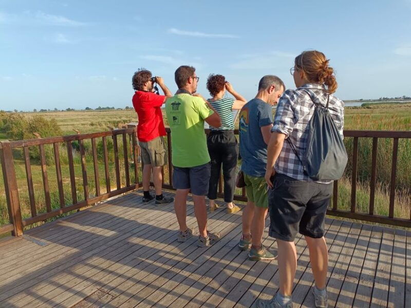 tarragona-southern-delta-birdwatching-private-tour