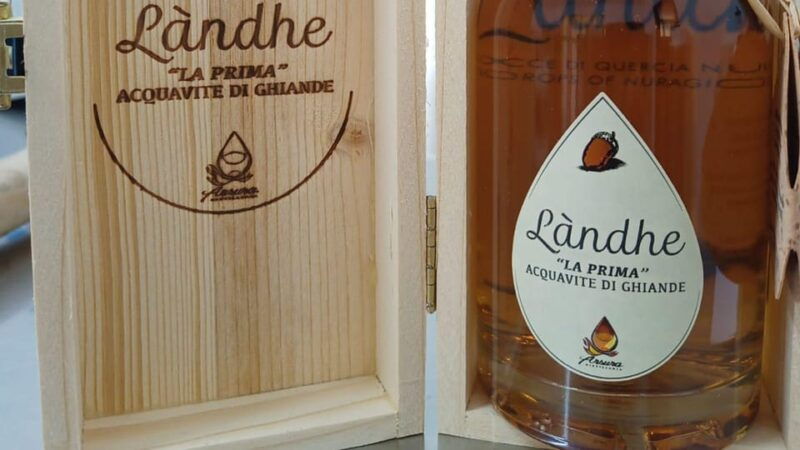 tempio-pausania-visit-a-distillates-workshop-with-tasting