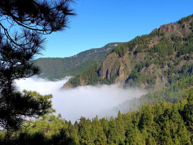 tenerife-barranco-de-los-arcos-canyoning-in-tenerife