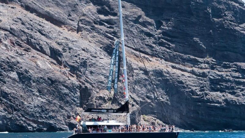tenerife-catamaran-cruise-with-an-open-bar