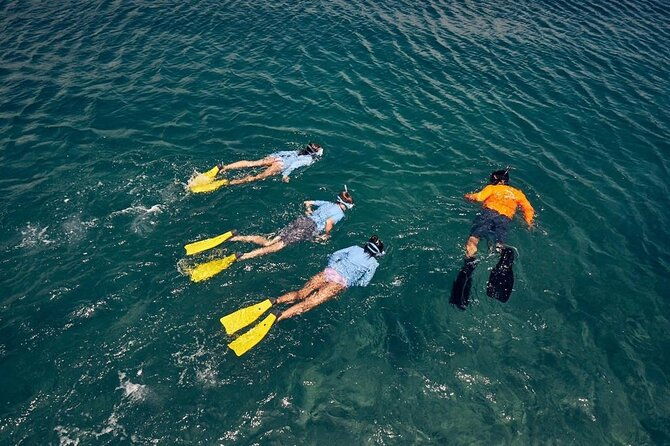 the-artisan-sea-kayak-adventure-4-in-1