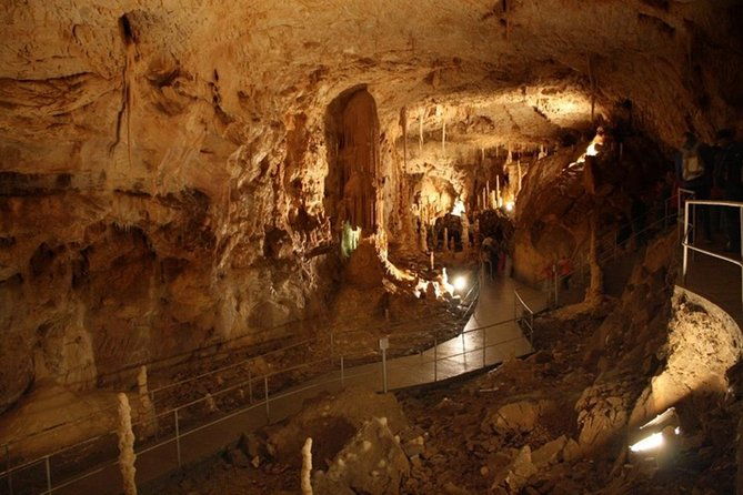 the-bears-cave-one-day-air-conditioned-car-tour-from-oradea