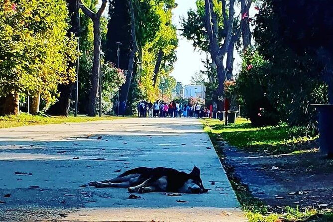 the-beautiful-pompeii-two-hour-tour-to-discover-the-hidden-places-of-the-city