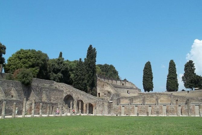 the-beauty-of-pompeii-with-a-private-expert-tour-guide-archaeologist