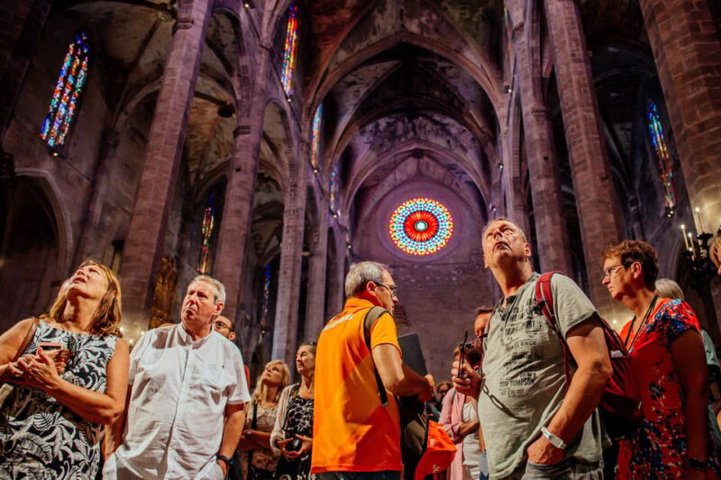 the-best-of-palma-boat-trip-walking-tour-and-cathedral