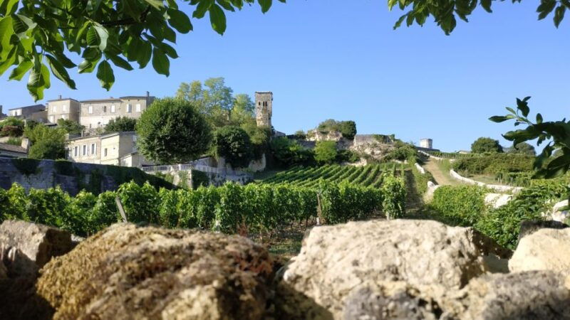 the-best-of-saint-emilion-private-highlights-tour