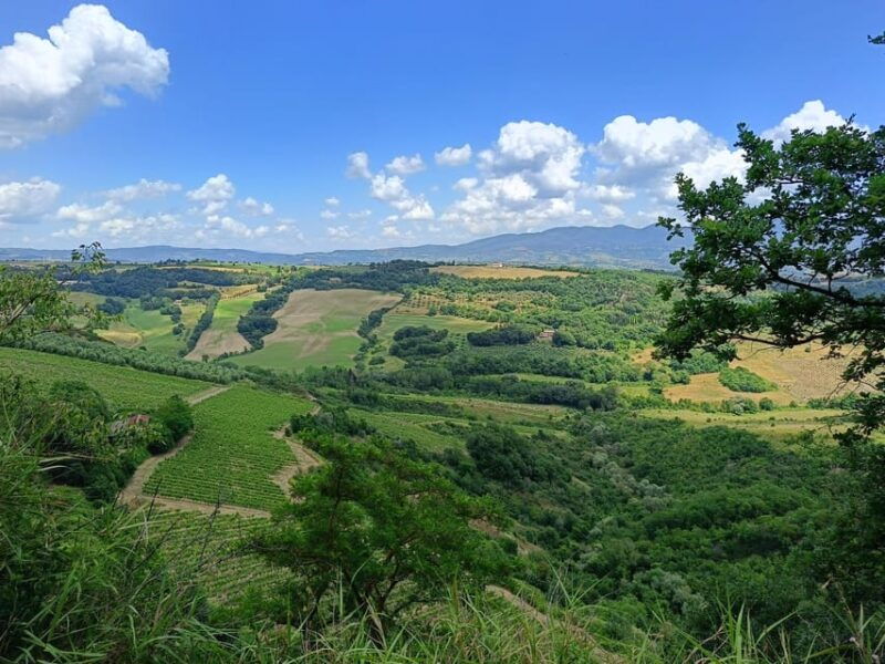 the-dying-city-civita-bagnoregio-w-wine-tasting-from-port