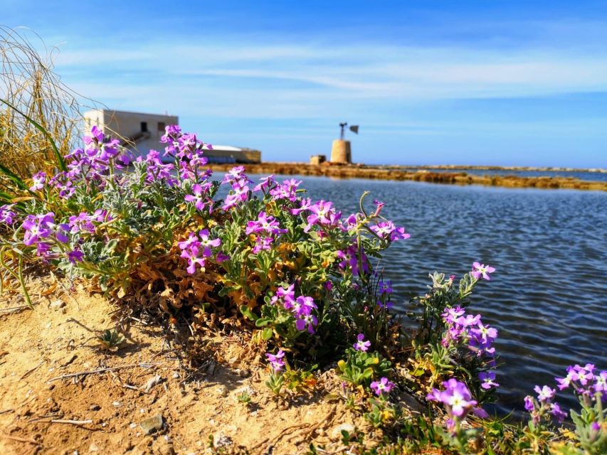 the-florio-family-marsala-and-trapani-wine-and-salt