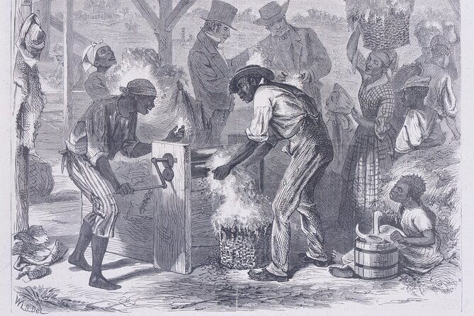 the-history-of-slavery-in-louisiana-tour