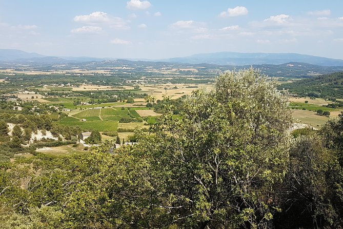 the-lavender-country-private-tour-with-a-local-guide