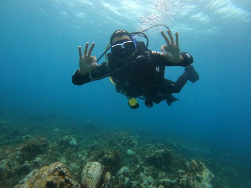 third-angra-do-heroismo-scuba-diving-tour-with-2-dives
