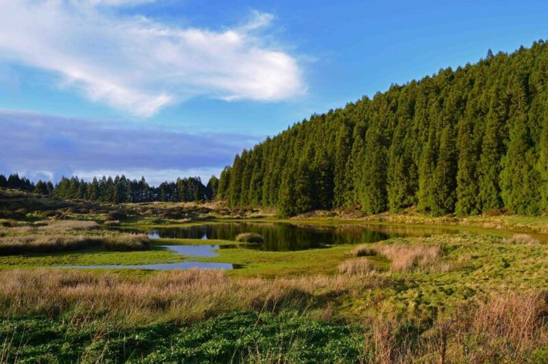 third-island-black-mysteries-hiking