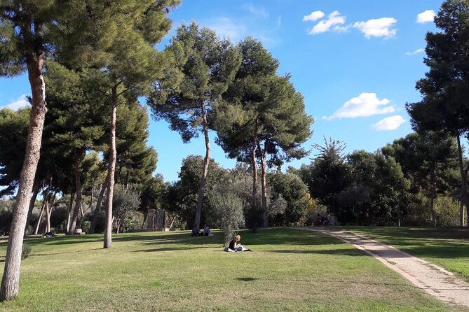 three-parks-private-guided-tour-on-bike-e-bike-e-step-or-segway