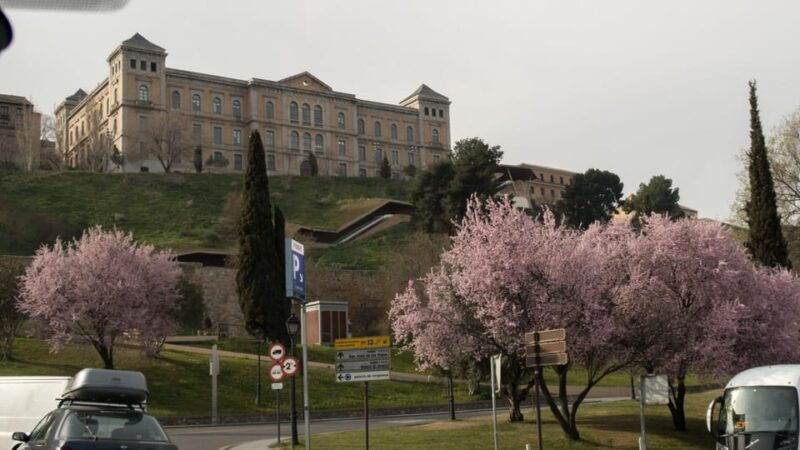 toledo-5-hour-tour-in-private-car-from-madrid