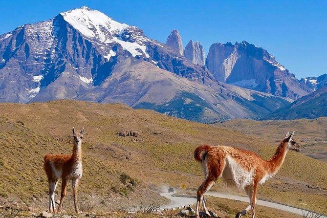 torres-del-paine-tour-from-punta-arenas