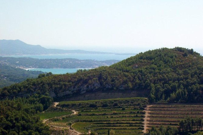 toulon-and-surroundings-8hour-tour