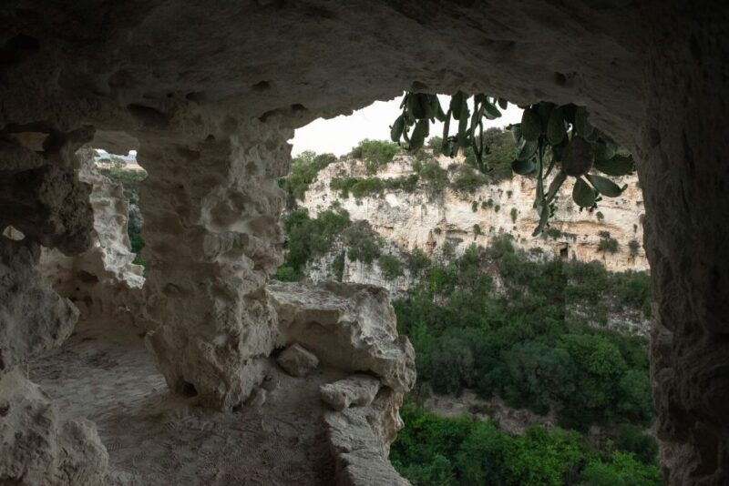 tour-among-the-temples-of-oil-and-the-patriarch-olive-trees