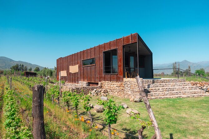 tour-to-maipo-boutique-wineries