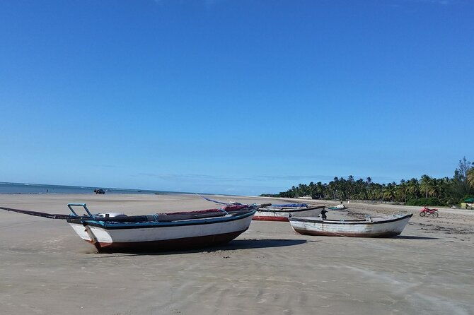tour-to-mundau-beach