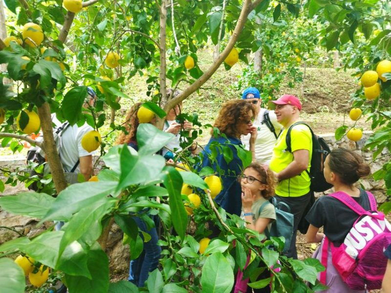 trekking-lemon-tour