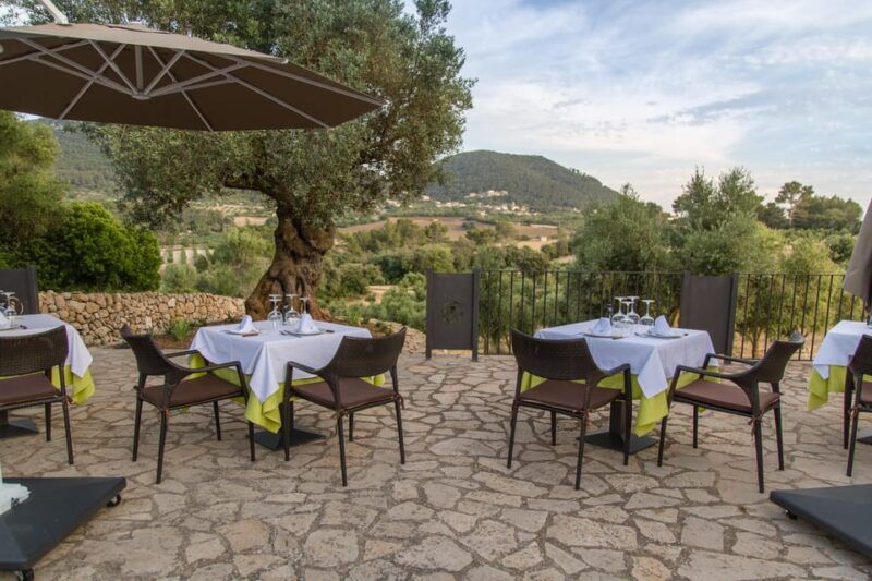 treurer-mediterranean-barbecue-night
