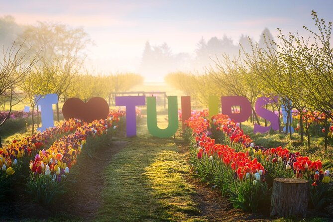 tulip-valley-farms-u-pick-experience