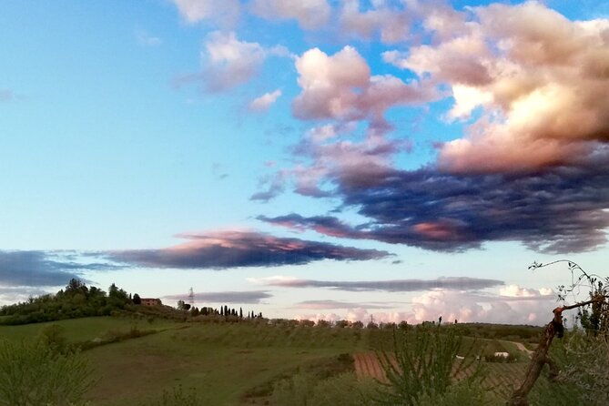 tuscan-dinner-in-a-villa-in-an-ancient-siena-olive-grove