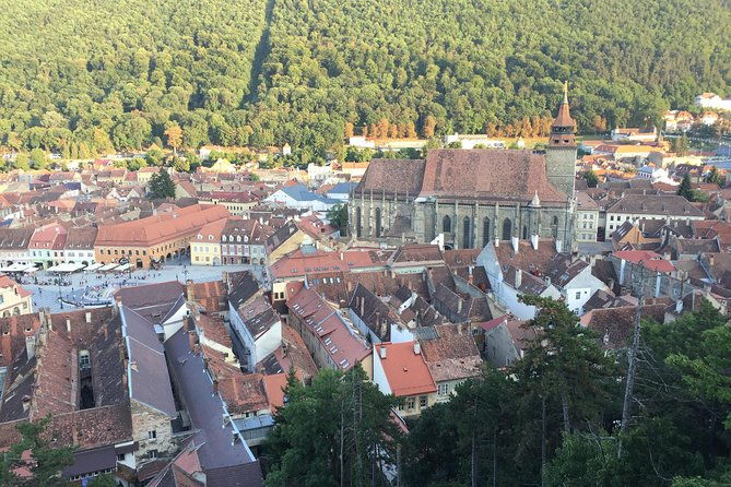 uncover-transylvania-private-2-day-tour-bears-medieval-wonders