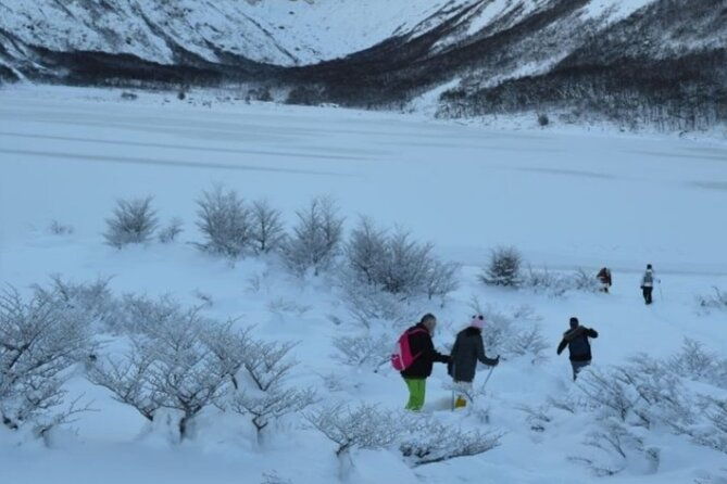 ushuaia-full-day-snow-sledding-with-huskies-snowmobile-4x4