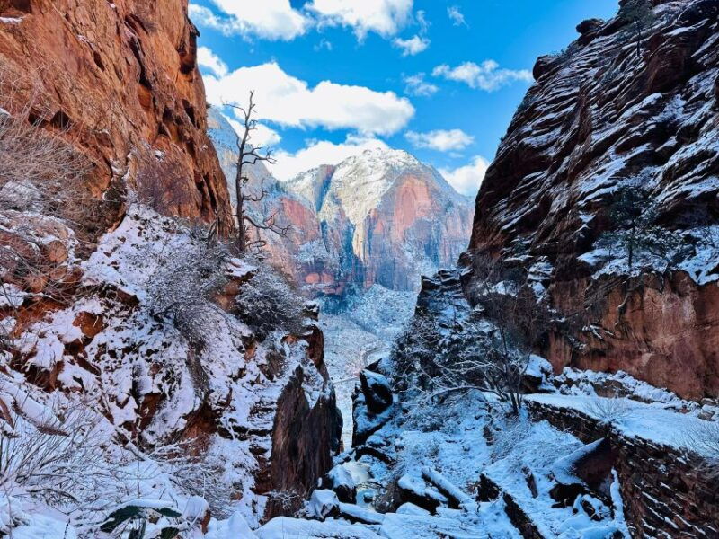 utah-zion-national-park-half-day-hike-with-picnic