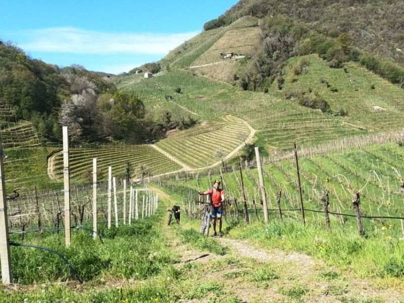 valdobbiadene-prosecco-hills-cycling-with-sommelier