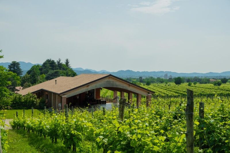valdobbiadene-prosecco-tasting-experience