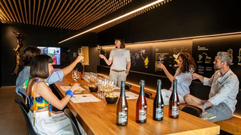 valdobbiadeneprosecco-tastingappetizerswinery-vineyard