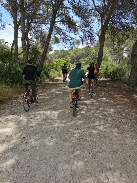 valencia-albufera-natural-park-bike-and-boat-tour