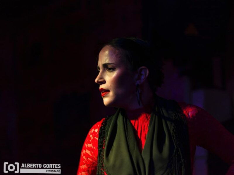 valencia-flamenco-at-toro-y-la-luna-with-drinks-or-dinner