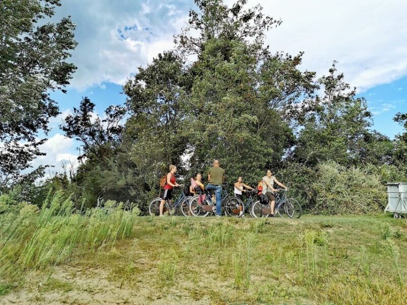 venice-bike-tour-honey-artichockes-on-santerasmo-island