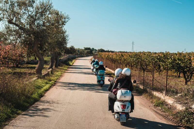 vespa-panoramic-tour-trulli-and-countryside-with-tastings-in-itria-valley
